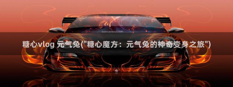 糖心vlog网入口:糖心vlog 元气兔
