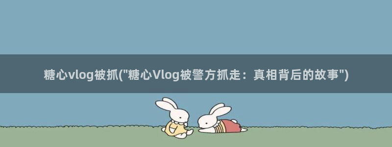 糖心vlog糖心宝贝:糖心vlog被抓(