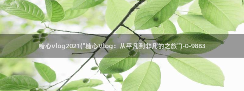 糖心vlog幸福宝:糖心vlog2021