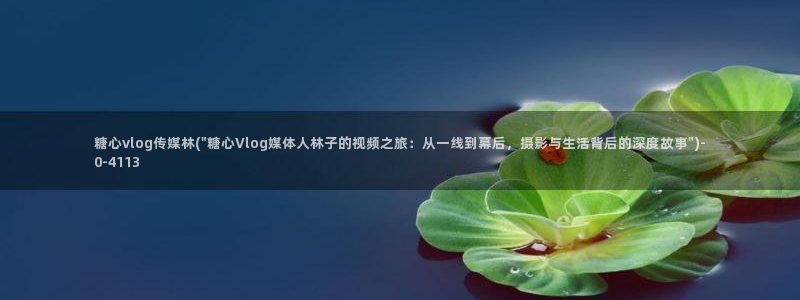 糖心vlog你懂的:糖心vlog传媒林(