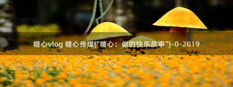 糖心vlog意思:糖心vlog 糖心传媒