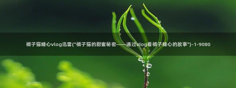 糖心vlog哪里下载:橘子猫糖心vlog